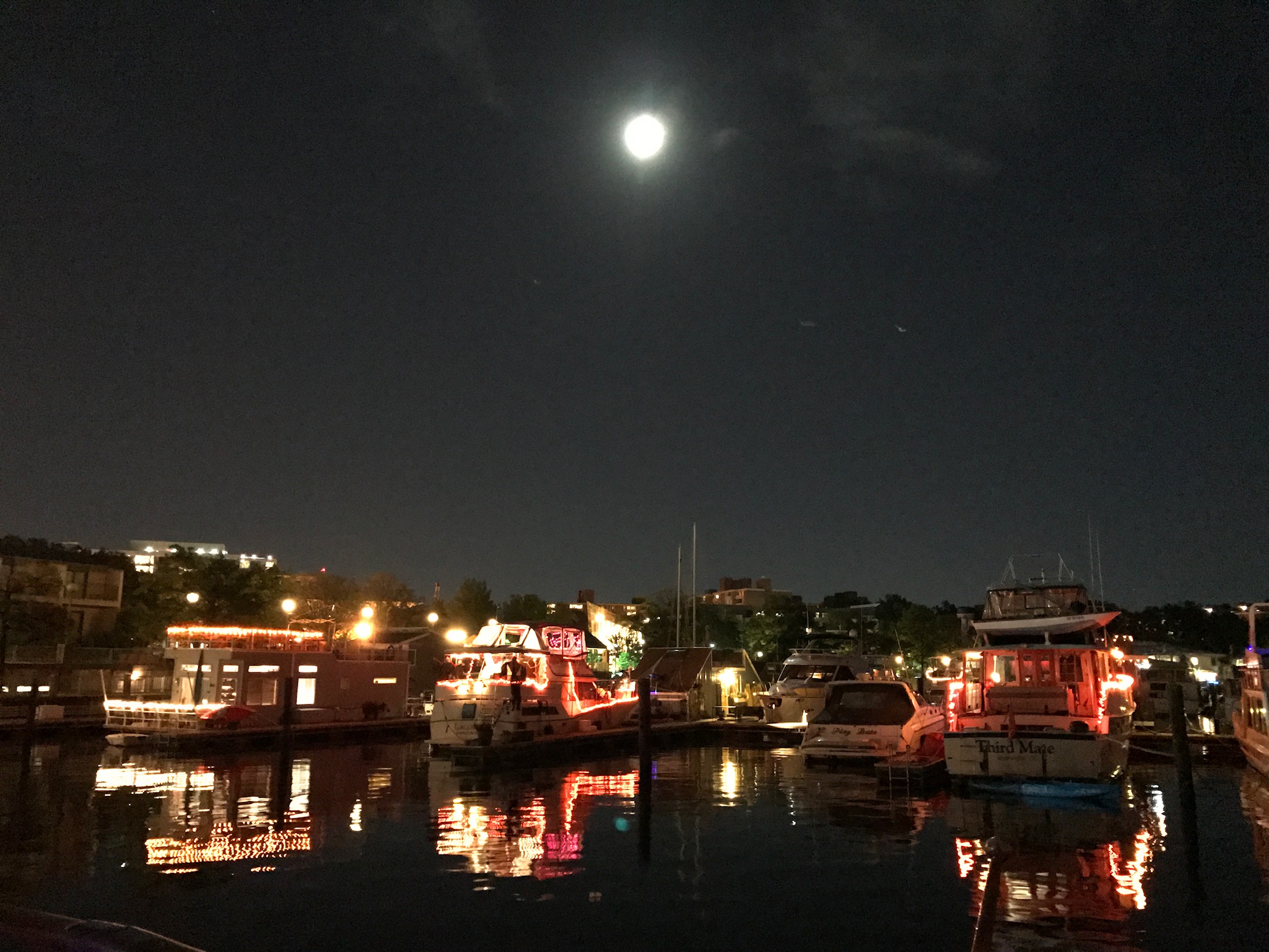 Boatlife at Gangplank Marina