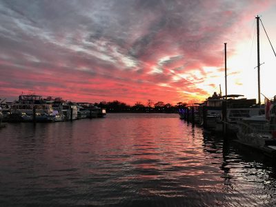 Boatlife at Gangplank Marina, sunset